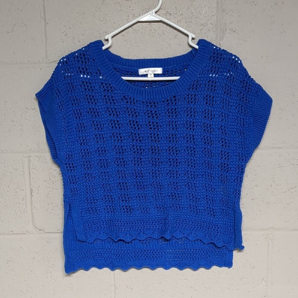 Cobalt Blue Hollow Knit Short Sleeve Cropped Sweater Size Small